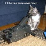 cameraman-cat.jpg