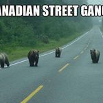 canadian_street_gangs.jpg