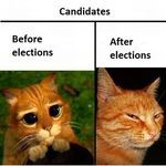 candidates_before_after.jpg