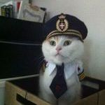 captain_cat2.jpg