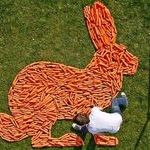carrots_art.jpg