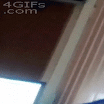 cat226.gif