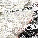 cat_10.gif
