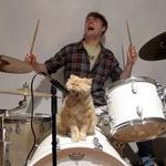 cat_band.jpg