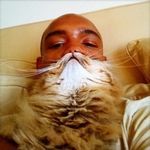 cat_beard.jpg