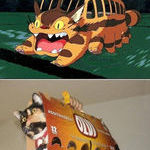 cat_bus_cosplay.jpg