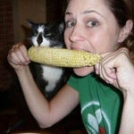 cat_eating_corn.jpg