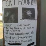 cat_found.jpg