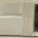 cat_invisible_pet_door.gif