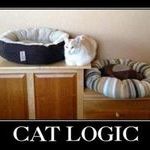 cat_logic.jpg