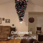 cat_owners_will_understand.jpg