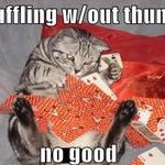 cat_shuffling.jpg
