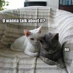 cat_talk.jpg