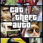 cat_theft_auto.jpg