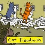 cat_treadmills.jpg