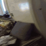 cat_vs_balloons.gif