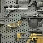 catgun2.jpg