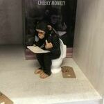 cheekymonkey.jpg