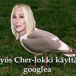 cher-lokki.jpg