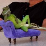 chillin_iguana.jpg