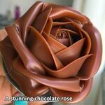 chocorose.jpg