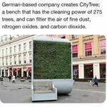 citytree.jpg