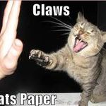 claws_beats_paper_cat.jpg
