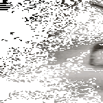 cocaine_spider.gif