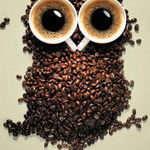 coffee_owl.jpg
