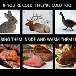cold_animals.jpg