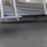cooldog03.gif