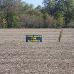 corn_maze_for_blondes.jpg