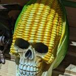 cornhead.jpg