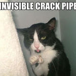 crack_pipe_cat.jpg