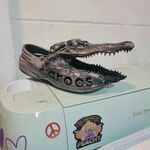 crocs09.jpg