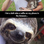 cutest_sloth_selfie.jpg