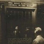 dangerous_animal.jpg