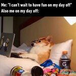 dayoff.jpg