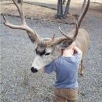 deerhug.jpg