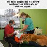 dentist_doing_it_right.jpg
