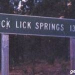 dick_lick_springs.jpg