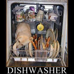 dishwasher.jpg