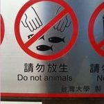 do_not_animals.jpg