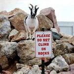 do_not_climb_on_rocks.jpg