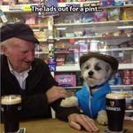 dog_71.jpg