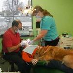 dog_helps_boy_get_over_his_fear_at_the_dentist.jpg