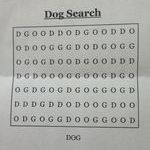 dog_search.jpg