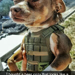 doge003.jpg