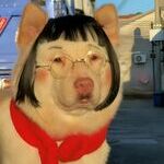 doge16.jpg