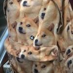 dogebag.jpg